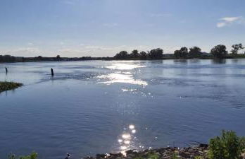 de lüt Ferienhof Jameln - Foto 36