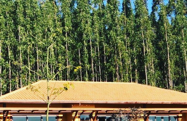 Buganville Villas - Foto 50