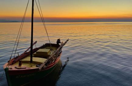 '' I FOLIA '' / ' 'LE NID '' - Foto 40