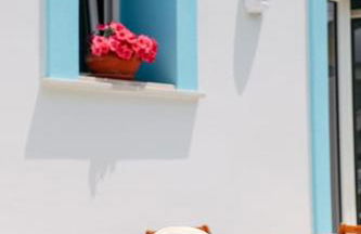 Casa VersoMare una corte nel Mediterraneo - Foto 56