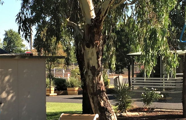 Junee Tourist Park - Photo 61