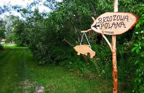 Brzozowa Polana - Foto 59