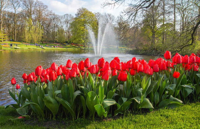 Entradas para Keukenhof - Photo 4