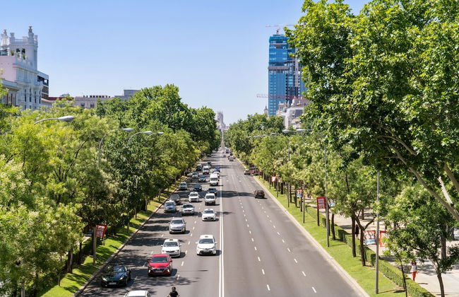 Limehome Madrid Calle de Nuñez de Balboa - Photo 77