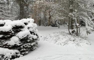 Au p’tit paradis - Photo 26