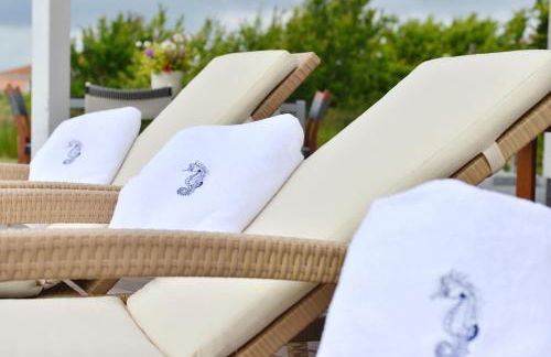 Seepferdchen - Foto 4