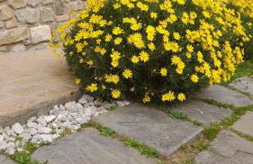 Agriturismo Circugnano - Foto 53