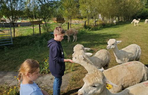 Double Decker Bus on an Alpaca Farm Sleeps 8 - Foto 6