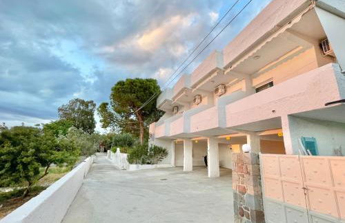 BLE, Oneiropagida, Aegina - Foto 28