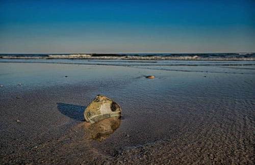 Jersey Shore Getaway - Foto 39