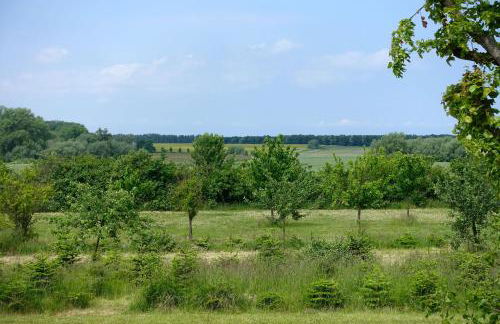 Weiter Blick - Foto 9