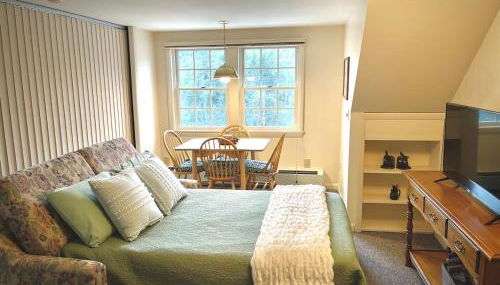 Peaceful Mtn Studio Pet-friendly - Foto 4