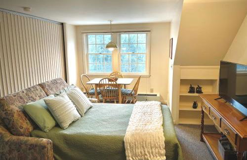 Peaceful Mtn Studio Pet-friendly - Foto 4