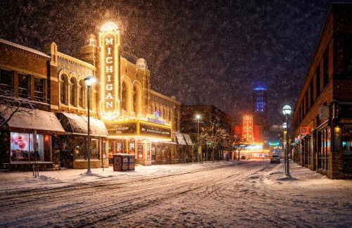 Lux Stay Minutes to Big House U of M Campus and UM Hospital Free Parking - Foto 3