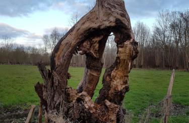 Logis de LANGE apt les Ecureuils - Foto 63