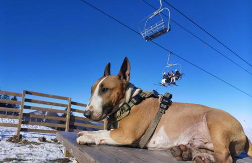 CHALET 4 Le Cerf - Foto 69