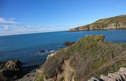 Aotearoa in Church Bay - Foto 12