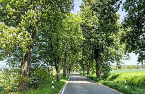 Peaceful Escape in Neu Karin - Foto 56