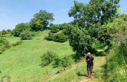 Seehaus BEIJA-FLOR - Bodensee-Radweg & -Badeufer - Foto 58