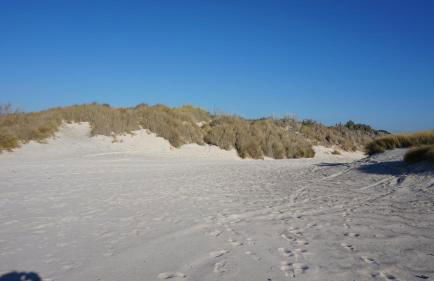 A 20 mt dal mare con ombrellone e sdraio in spiaggia - Foto 18
