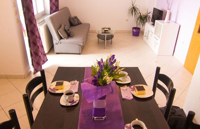 Apartments Dario - Photo 12