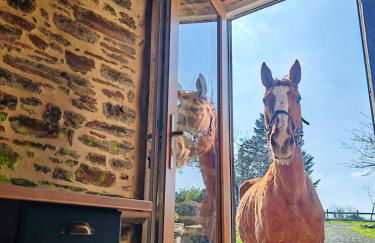 Le Ranch Normand - Foto 48