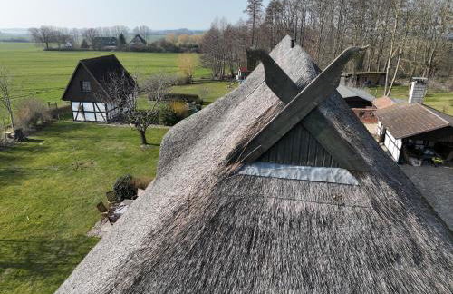 Reetmeer Apartments Spa & Reetdach am Salzhaff - Foto 17