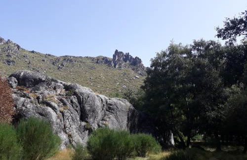 Melro-d' água - Foto 44