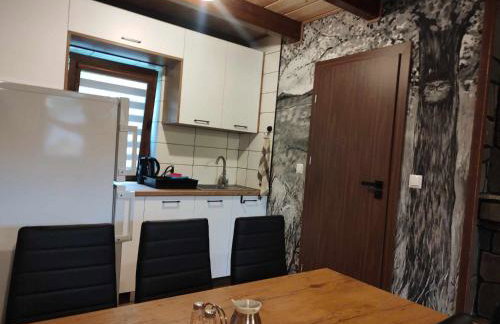 Domek Dzikusówka 1 Bieszczady Solina Polańczyk Zawóź Cisna - Foto 11