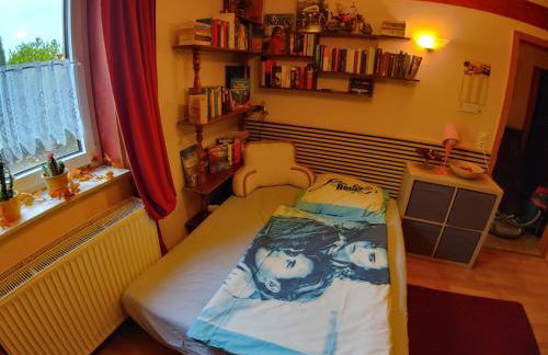 Kleine Wohngelegenheit am Stadtrand von Chemnitz - Foto 25