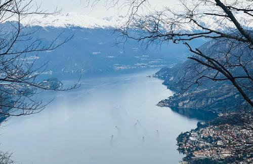 La coccinella - Foto 13