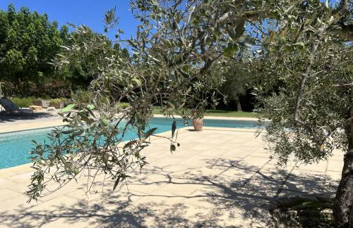 Charmant appartement calme à Paradou - Foto 1