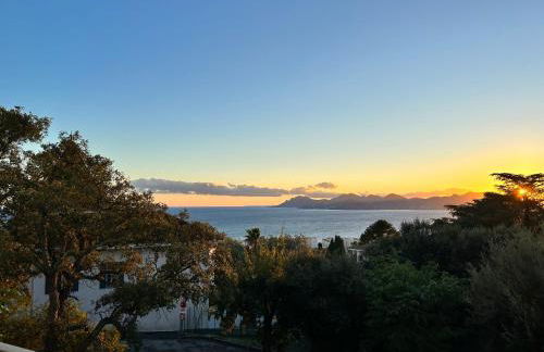 Appartement - villa Le Saint Georges avec superbe jardin et vue mer panoramique - Foto 14