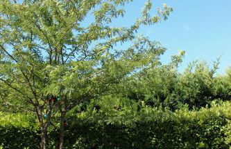 NEW! Gîtes de Charme au Mas de Soleil - Foto 67