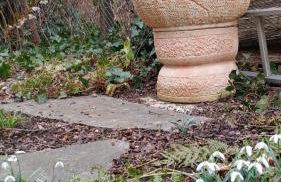 FeWo bei Tati - Bungalow - Foto 21