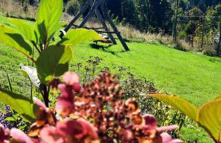 Domek Kojsówka - Foto 59