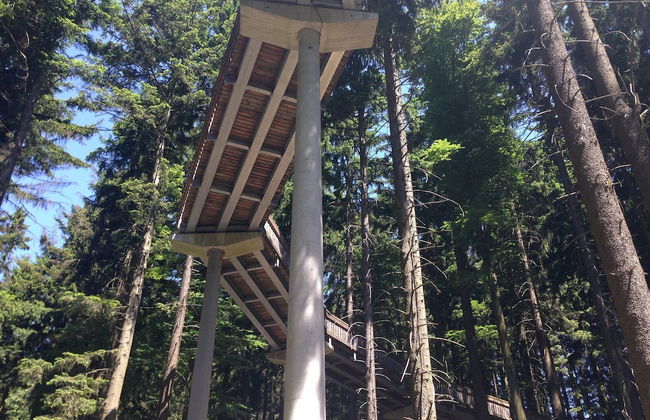 Welcoming Chalet Near Forest in Rohrnbach - Foto 54