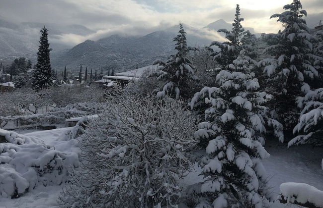 260m2 Unique Mountain House in Lilea Parnasos - Foto 79