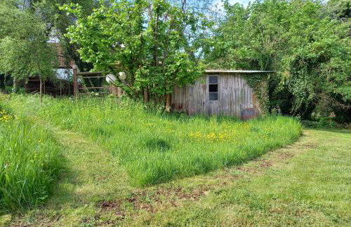 tiny house Pfalz Wellness und Wanderurlaub - Foto 18