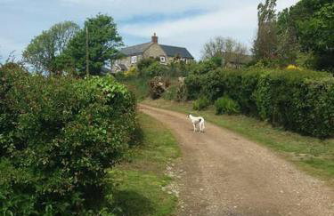Hedgerow Cottage (Berryl farm Cottages) - Foto 20