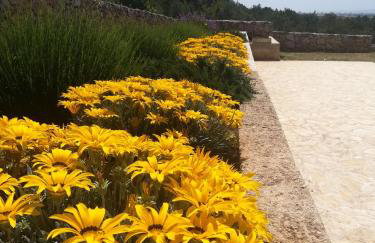 Happy garden house - Photo 32