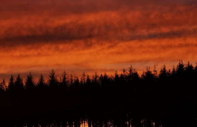 Libramont Stone Garden Haven - Photo 42