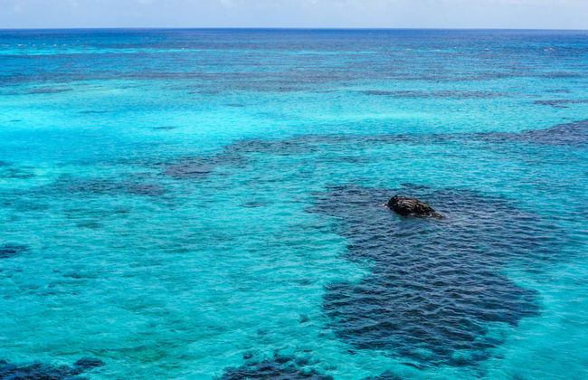 Excursion à Punta Arrecife - Photo 1
