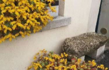 Studio atypique - Foto 22