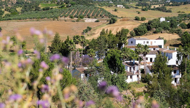 Hotel Málaga Sierra de las Nieves by Real Spain Hotels Adults Recommended - Foto 2, Profilbild