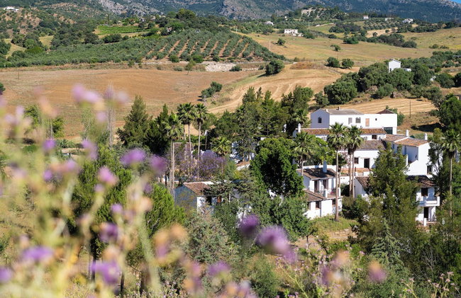 Hotel Málaga Sierra de las Nieves by Real Spain Hotels Adults Recommended - Foto 2