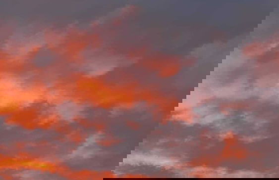 La masseria - Foto 23