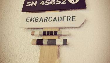 Les pins dans l'eau - Foto 3