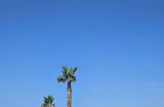 Casa gioia - Foto 40