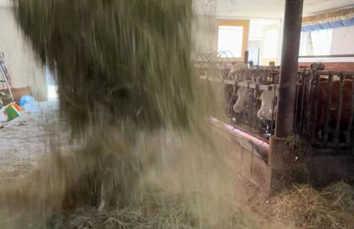 Schwaigerhof - Foto 12